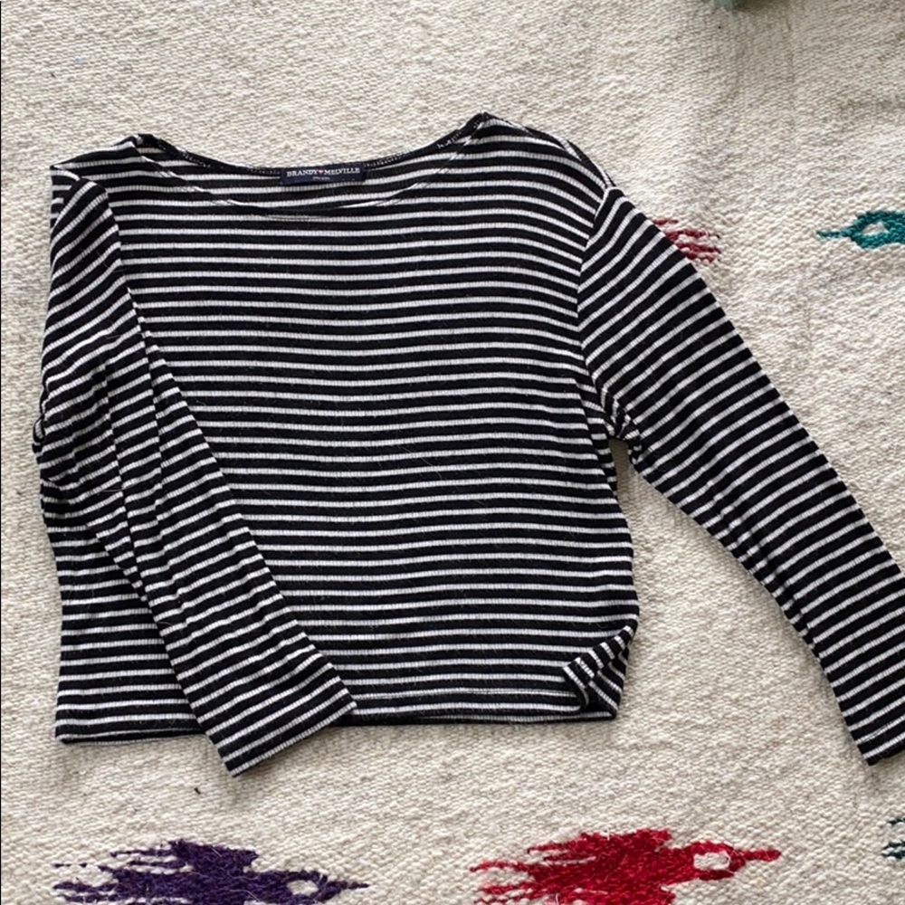 Brandy Melville Striped Crop Top
